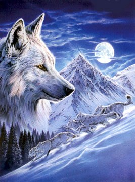 Влад Малый | 