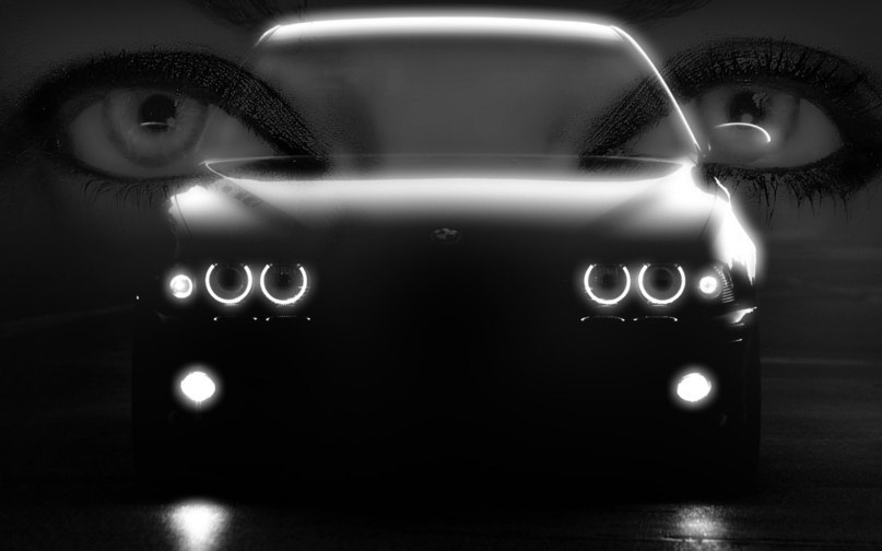 Люция Романова ♥ Дикая Кошка ♥ | Рязань