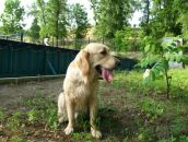 №11 Анна Ставицкая-Чистякова 23.01.1990: профиль, фото, статус - ВКонтакте