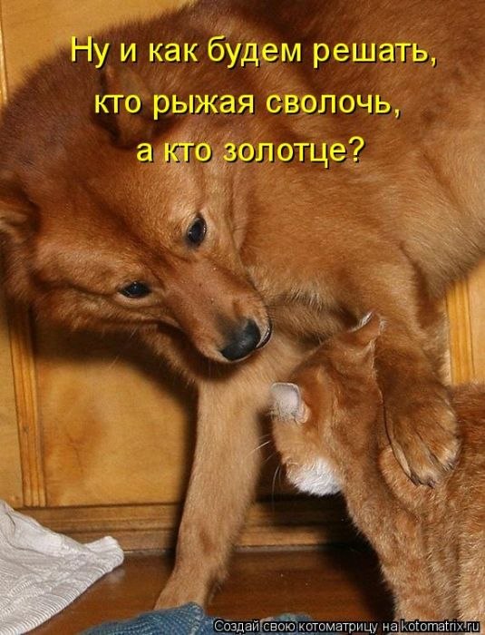 Ольга Крылова-Кузьмина-Неманова | Архангельск