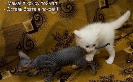 Анастасия Стасина | Екатеринбург