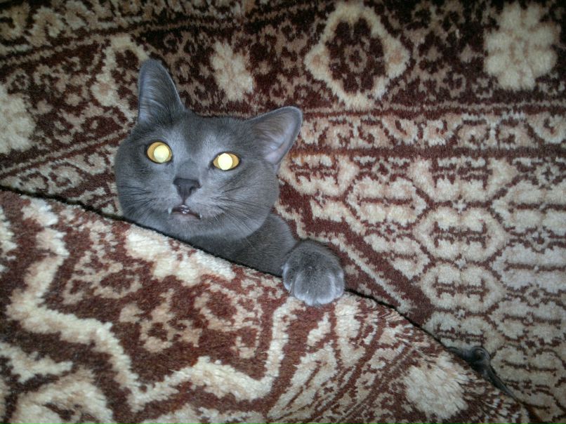 Саня Тоака S_h_u_r_i_K | Подольск