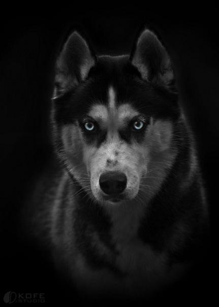 №30, Андрей Слисаренко, 33 года, Нижневартовск №30, Андрей Слисаренко, 33 года, Нижневартовск