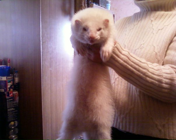 №55, Елена Федотовская, 37 лет, Солдатка №55, Елена Федотовская, 37 лет, Солдатка