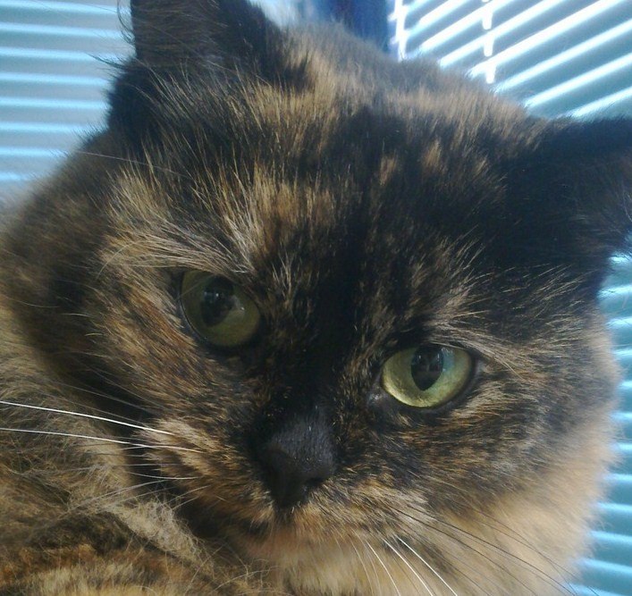 Ольга Иваха | Санкт-Петербург