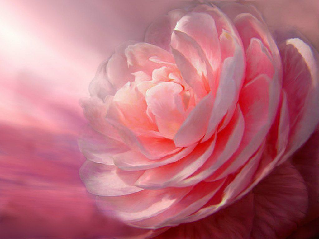 Елена Ивашова | Санкт-Петербург