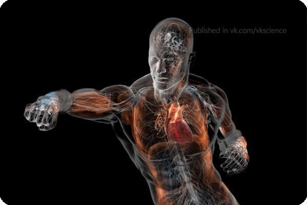 Иван Иванов - J.V.- | Montego Bay