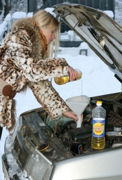 Алексей Низамов | Великие Луки