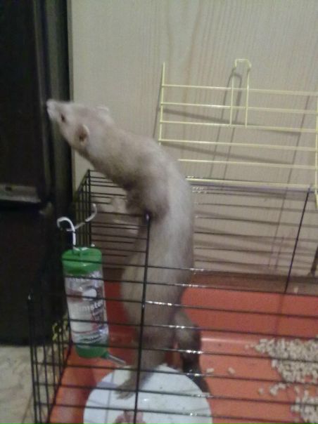 №78, Александр Пешков, 38 лет, Санкт-Петербург, Россия №78, Александр Пешков, 38 лет, Санкт-Петербург, Россия