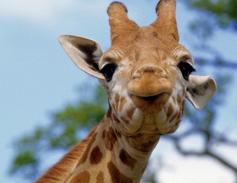 Екатерина Коновалова | Екатеринбург