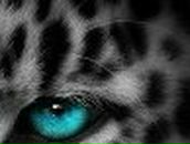 Александра Фролова | Великие Луки