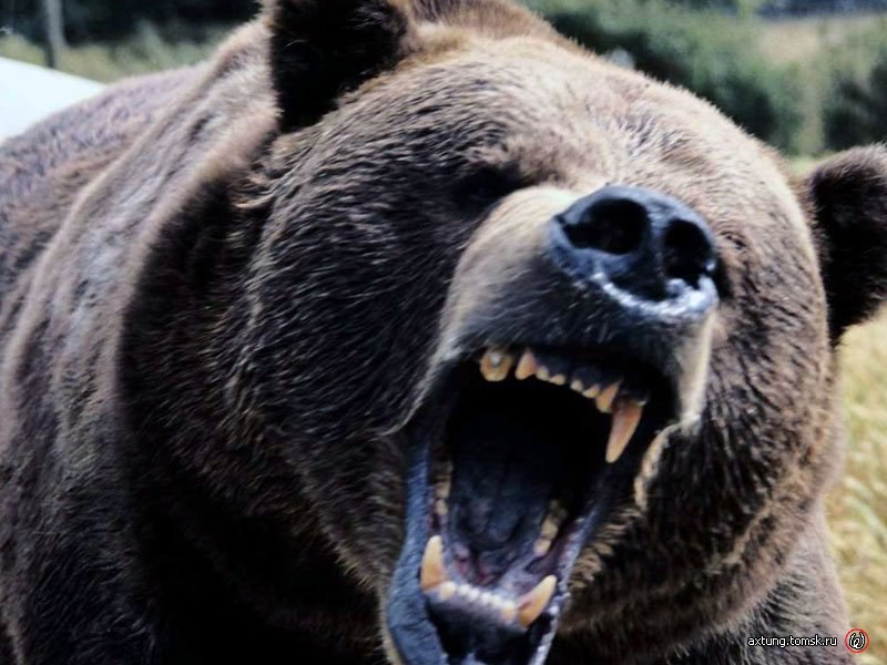 Макс Новиков | Нижний Новгород