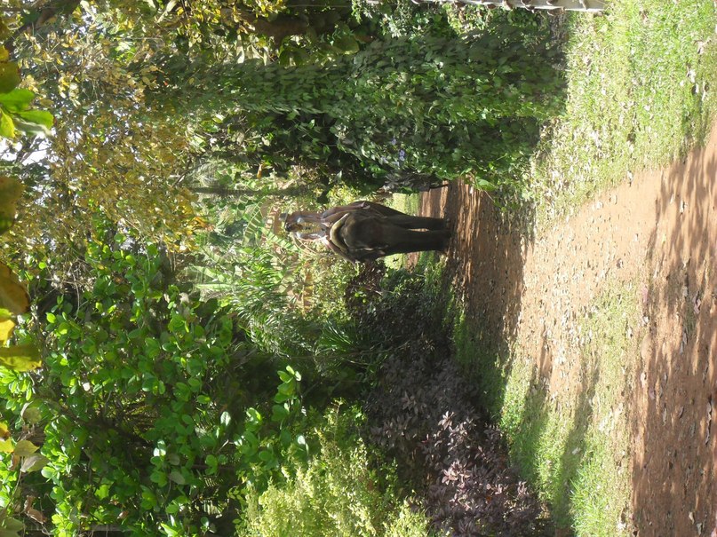 Алла Корнева | Нижний Новгород