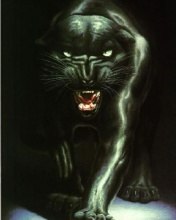 Елена Миронова | Санкт-Петербург