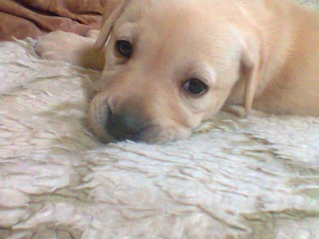 Ека Скороходова | Тбилиси