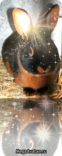 №6, Алевтина Хен, 21.01, Октябрьское №6, Алевтина Хен, 21.01, Октябрьское