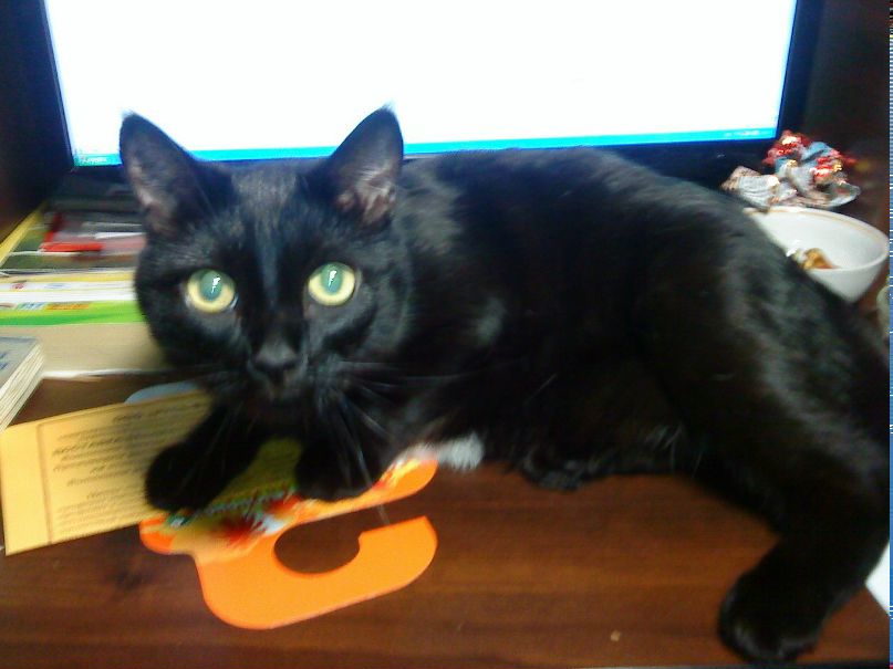 Алексей Владимирович | Кемерово