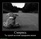 №37 Иван Вениаминович 11.01: профиль, фото, статус - ВКонтакте