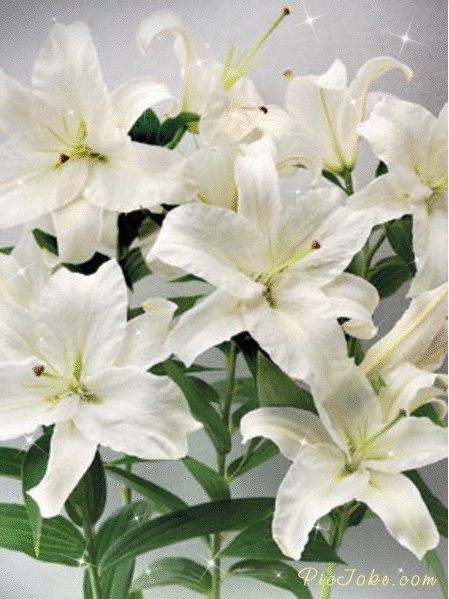 Фируза Зарипова | Екатеринбург