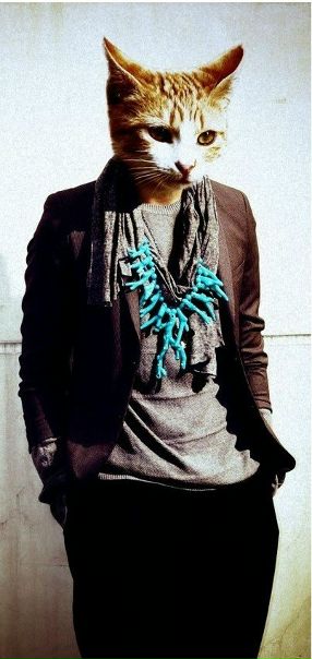 №112, Sasha Geroyskiy, 36 лет, Тверь №112, Sasha Geroyskiy, 36 лет, Тверь