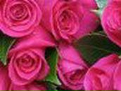 Ксюша Петрова | 