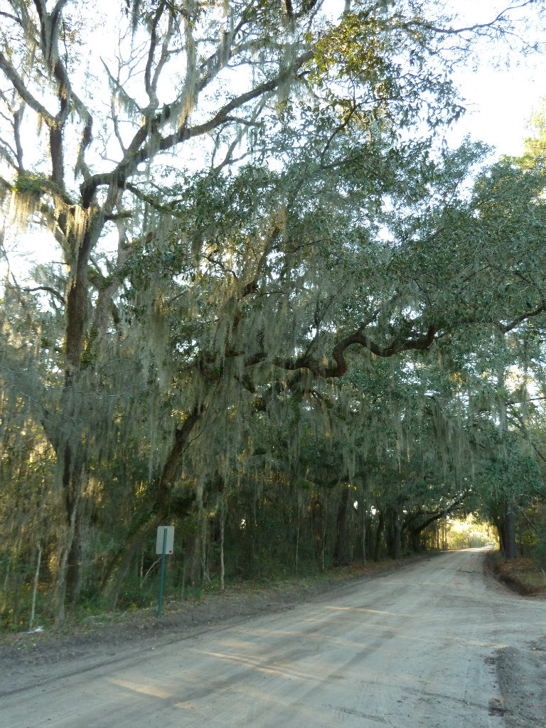 Елена Варавка | München