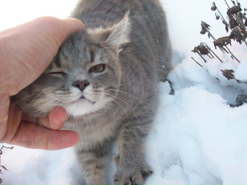 Саша Фиряев | Одесса