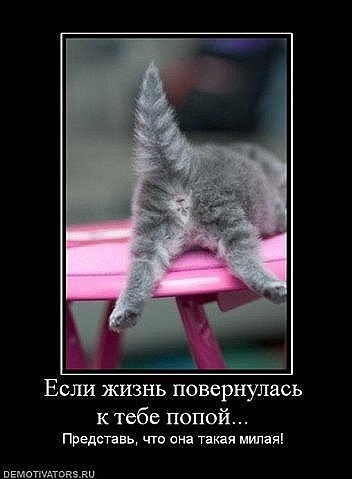 №44, Анюта Марковская, 35 лет, Запорожье №44, Анюта Марковская, 35 лет, Запорожье