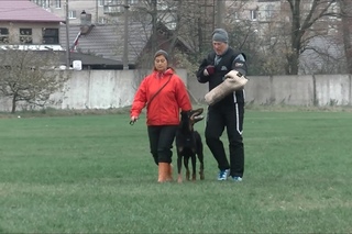 Х’Ардигранд Кадо (Киви), IPO-3, раздел С