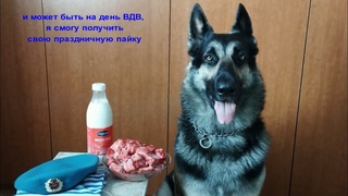 ПОЗДРАВЛЕНИЕ на день ВДВ