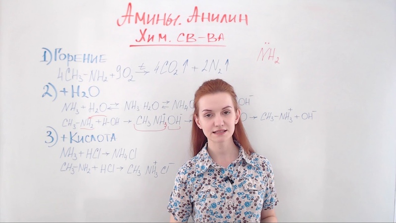 Амины.