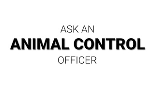 Ask an Animal Control Officer