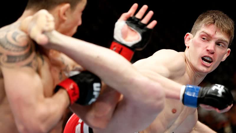 Stephen Wonderboy Thompson, UFC Greatest