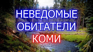 Рассказ Старика. Таинственный Случай | Мистические Страшные Истории | Необузданная Жизнь