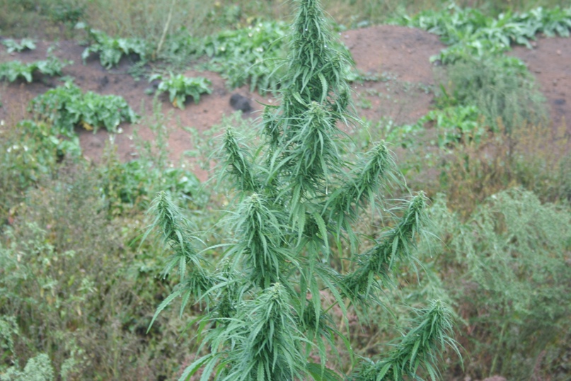 Евгений Никитин | Новосибирск