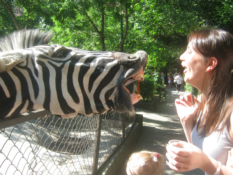 Виктория Савина | Симферополь