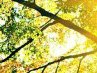 Галина Зуева | Санкт-Петербург