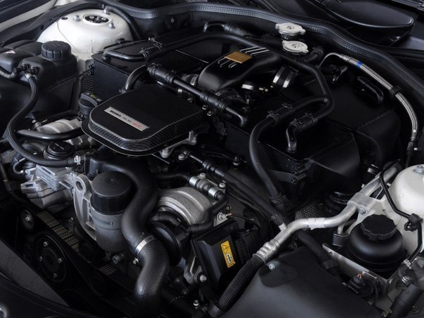 Полина Павлова | Ачинск