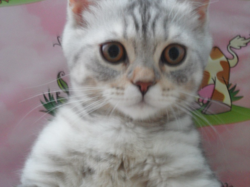 Екатерина Савицкая | Глубокое