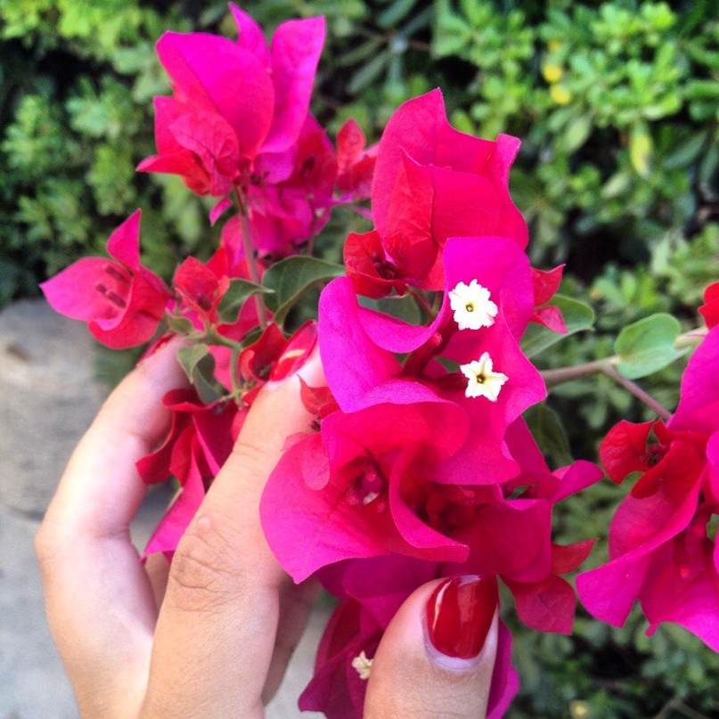 Тома Фофанова | Санкт-Петербург