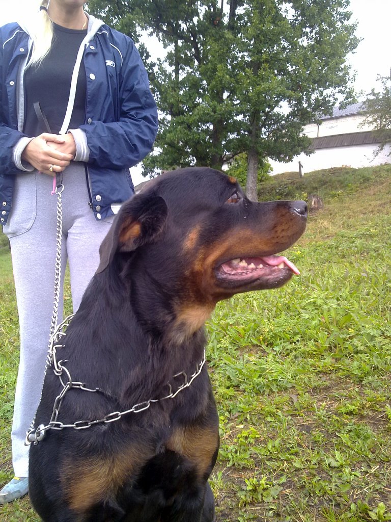 Анатолий Арефьев | Вологда