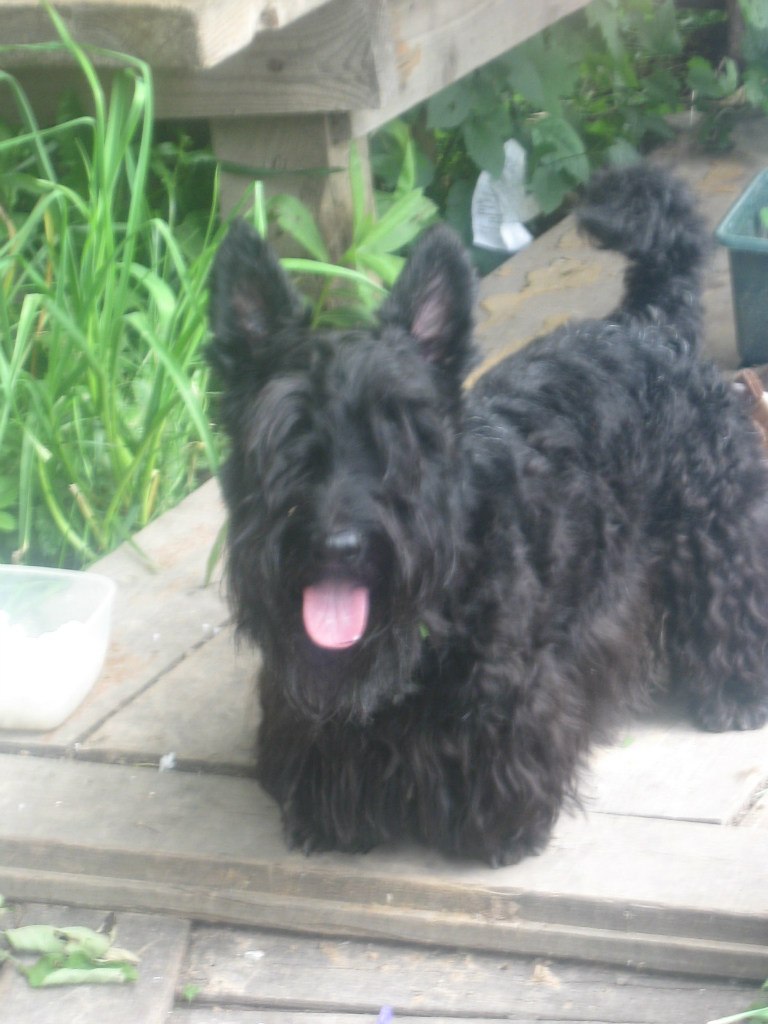 Ольга Жарикова | Москва