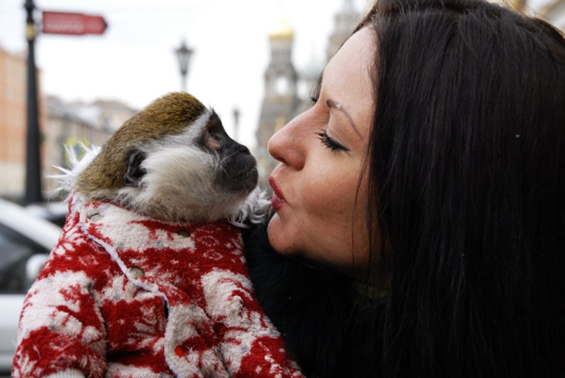 Александр Осипов | Санкт-Петербург
