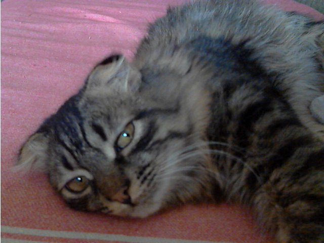 Юра Ким | Элиста