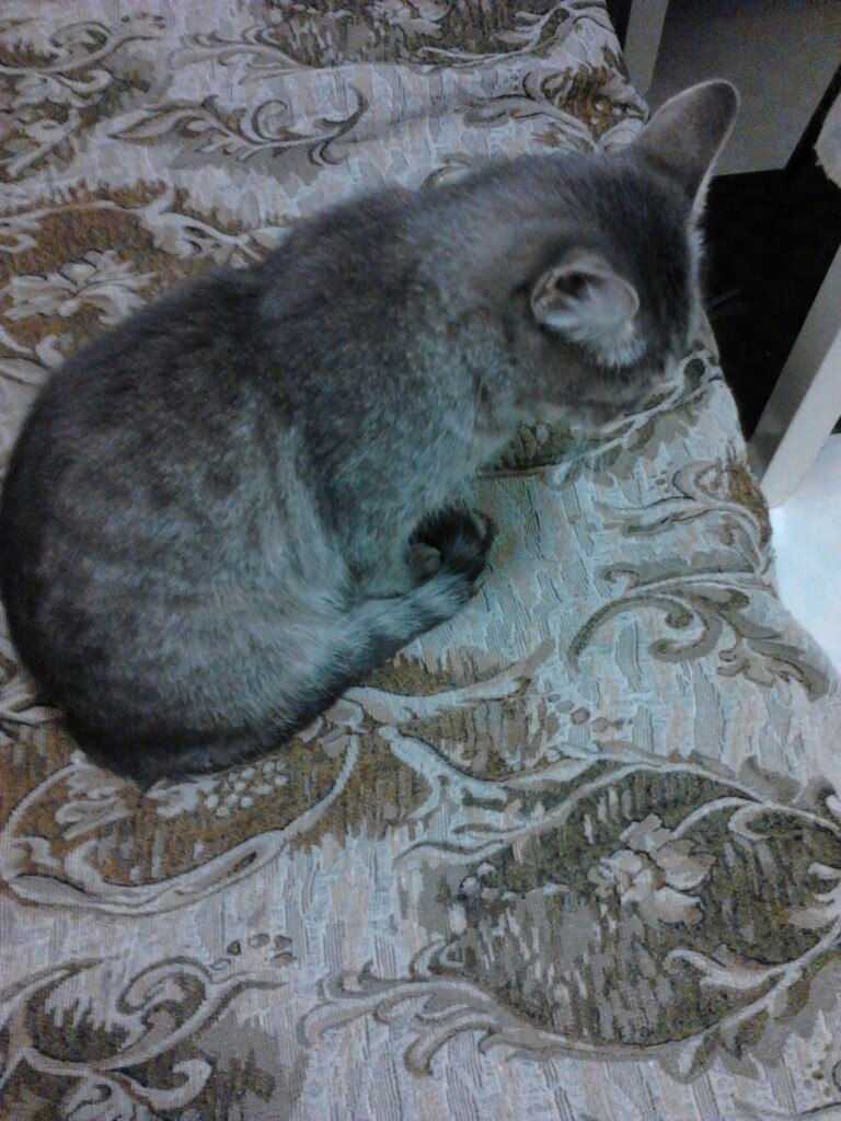 Александра Терехова | Заветы Ильича