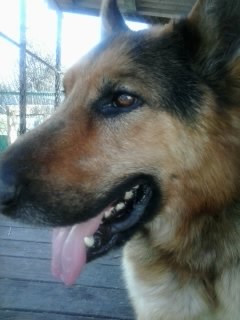 Анна Василевская | Купянск