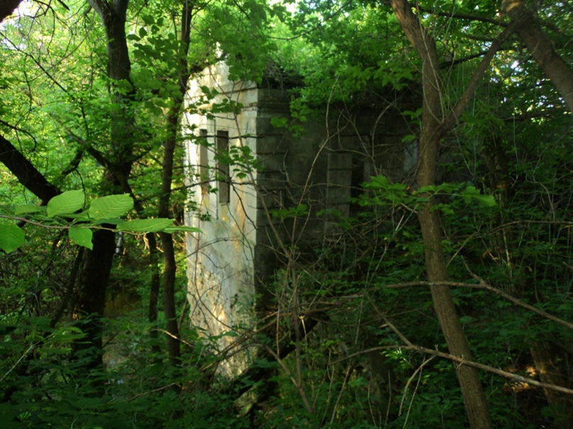 Алексей Чурсин | Липецк