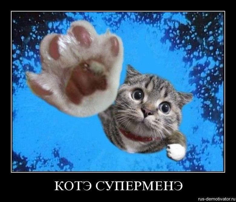 Андрей Ганжа | Locatie van de Knopneuzen