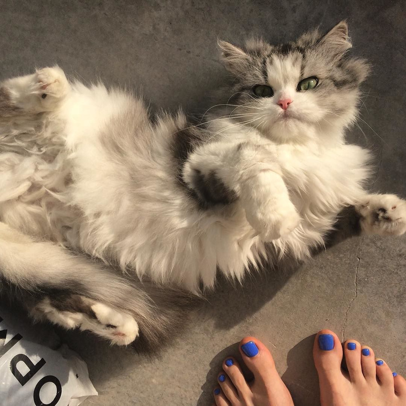 Светлана Лысенко | Санкт-Петербург