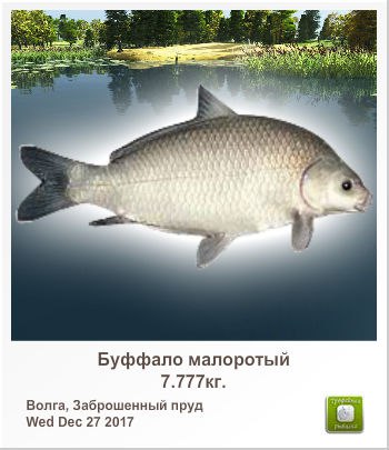 Сергей Огородов | Барнаул